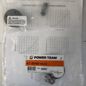 300947 - Kit, Repair Valve